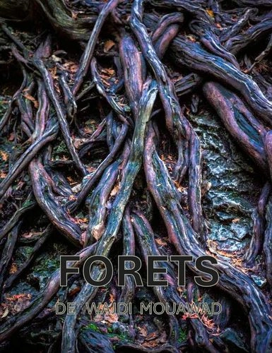 small_FORET-RACINE-2025-1.jpg
